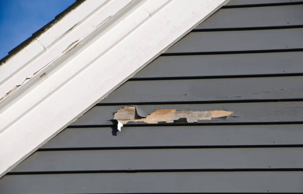 Affordable Siding Repair and Maintenance Services in Jekyll Island, GA